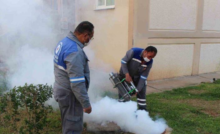 Sineksiz yaz için ilaçlama ordusu iş başında
