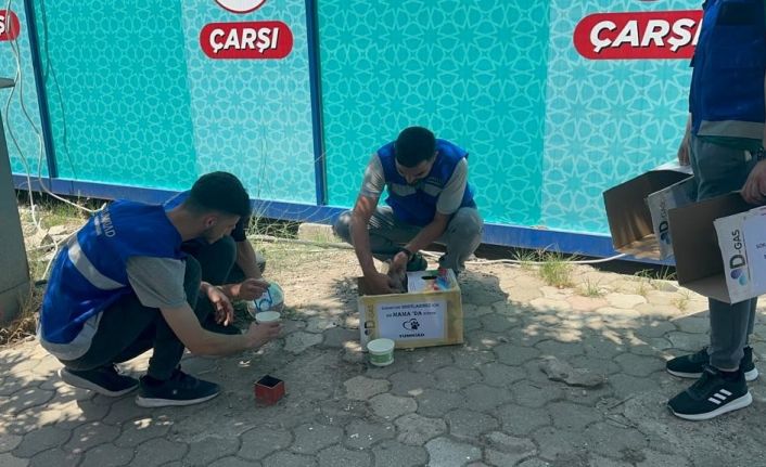 Sokaktaki can dostlarını depremin ilk günlerinden bu yana unutmadılar