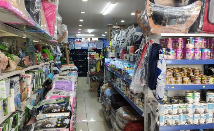 Sultangazi’de hırsızlar petshoptan çaldıkları kuşları montun cebine sakladı: O anlar kamerada