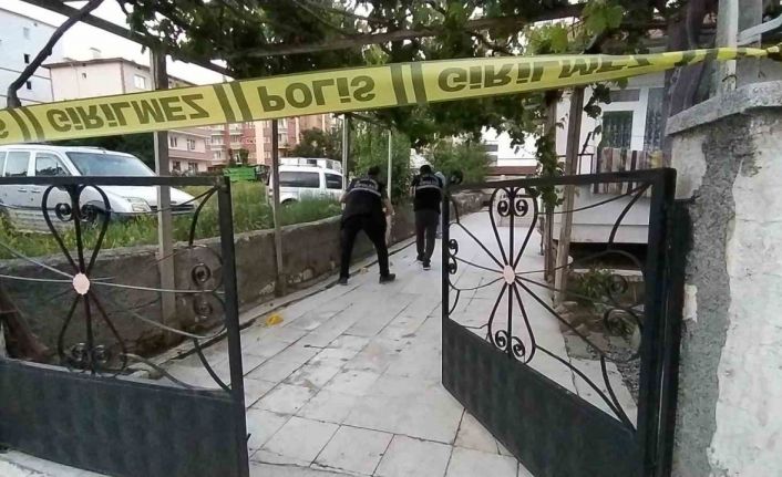 Tartıştığı abisini vurdu