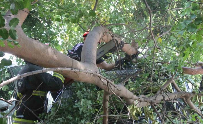 Tatilinin ilk gününde denize girmek için aracını park etti, geri döndüğünde gözlerine inanamadı