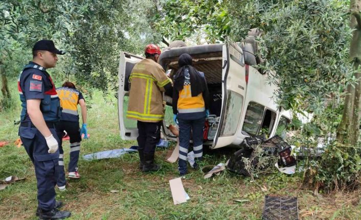 Topladığı erikleri satmaya götürürken kazada hayatını kaybetti