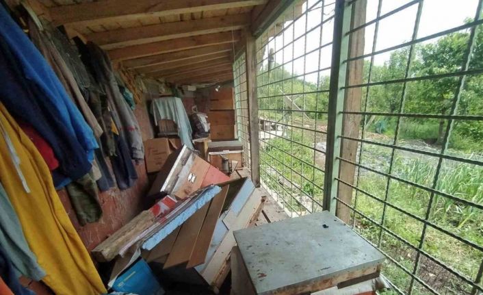 Tüm tedbirler ayıyı durdurmadı, kovanları parçalayan ayı geride pençe izlerini bıraktı