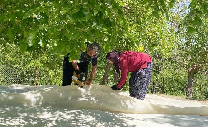 Tunceli’de dut üreticileri dayanışma içerisinde bahçelerini sezona hazırlıyor