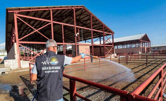 Van Büyükşehir Belediyesi canlı hayvan pazarını ilaçladı