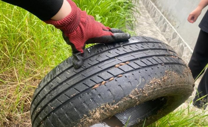 Vatandaşı bezdiren böceklerden kurtulmanın yolları