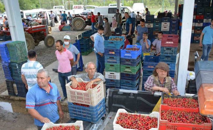 Yaylalarda erik ve kiraz hasadı başladı, Mendegüme ticaret merkezi oldu