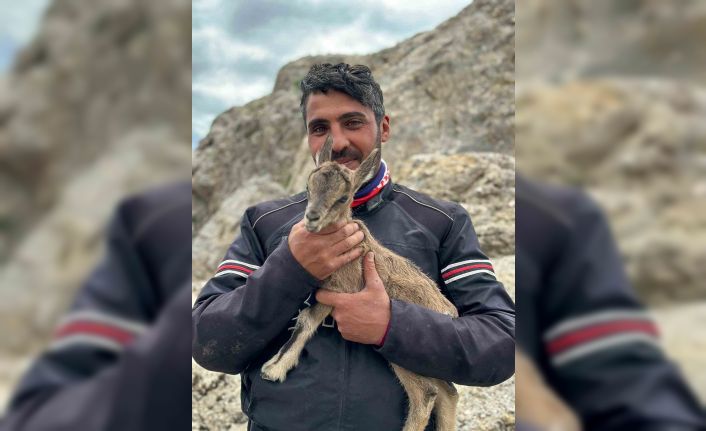 Yeni doğan yavru dağ keçisini gören motosiklet tutkunlarının heyecanı gülümsetti