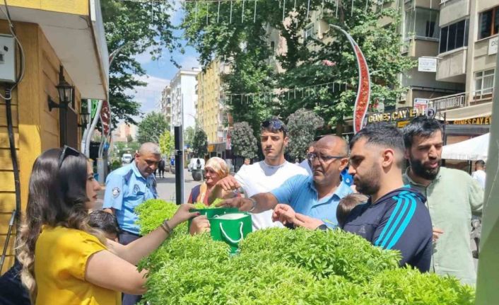 Yenişehir’de Çevre Koruma Haftası’nda vatandaşa fesleğen dağıtıldı