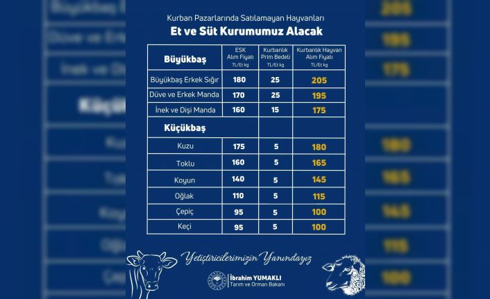 Yetiştiricilerin kurban pazarlarında satılmayan hayvanları Et ve Süt Kurumu tarafından satın alınacak
