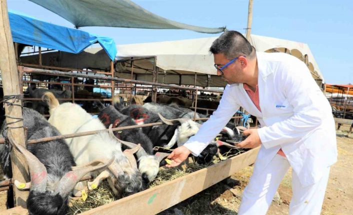 Yüreğir’de kurban satış ve kesim yerleri belirlendi