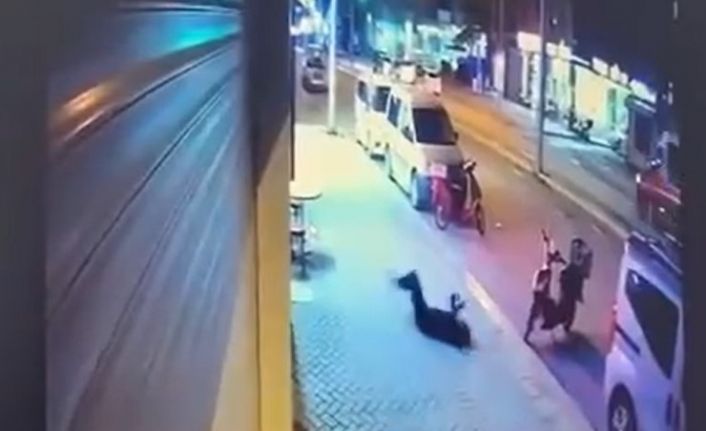 Zerin Kılınç’ın ölümüyle ilgili Şule Çet davasında görev alan uzmanlar inceleme yapacak