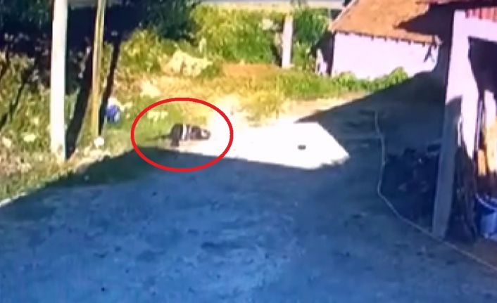 1 kişinin hayatını kaybettiği, 1 kişinin de yaralandığı kaza anı kamerada