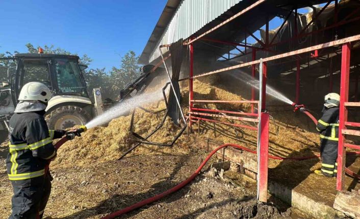 70 büyükbaş hayvanın bulunduğu ahırda yangın çıktı: 12 kişi dumandan etkilendi