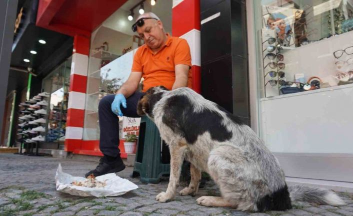 7 yıl önce yaralı halde iş yerinin önüne gelen sokak köpeği esnafın "Dost"u oldu