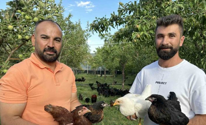 8 civcivle işe başlayan 4 öğretmen bin 200 tavuklu çiftlik kurdu