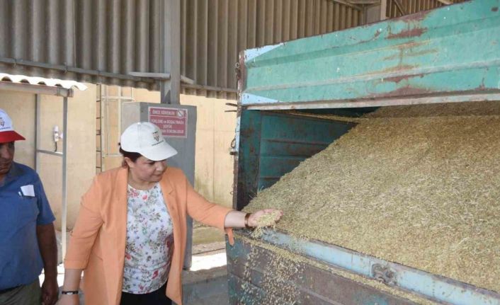 AK Partili Ünsal, çiftçinin sorunu için TMO Genel Müdürü ile biraraya geldi