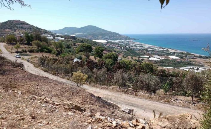 Alanya’da avokado bahçesinde çıkan yangında 9 dönüm alan zarar gördü