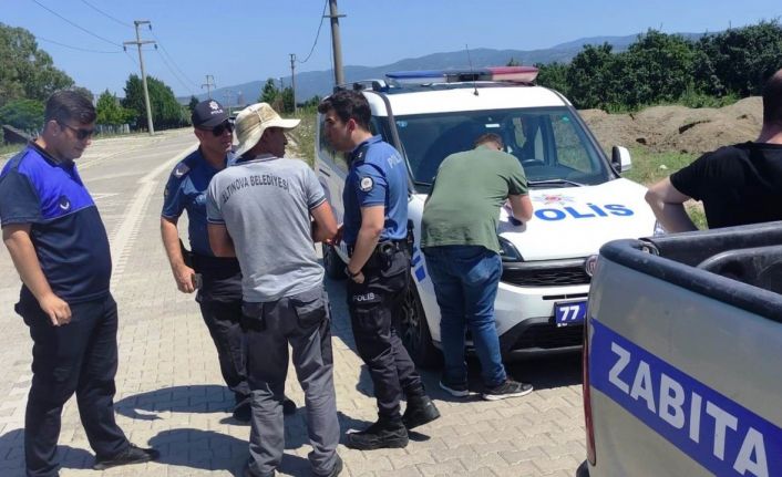 Altınova’da 3 kasa deniz börülcesiyle yakalandı