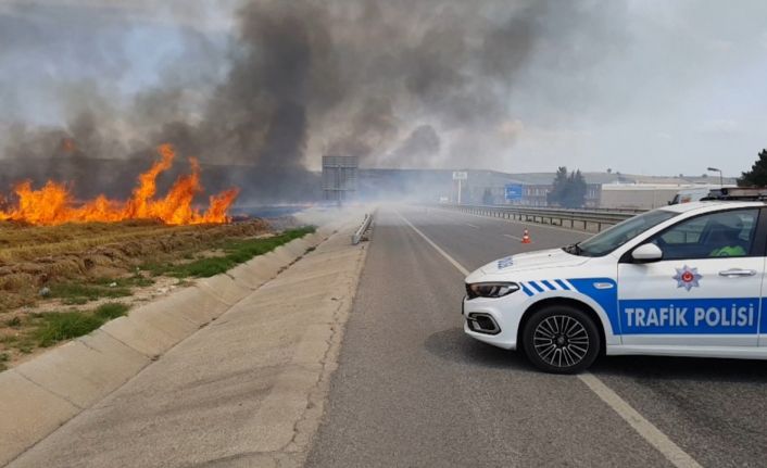 Anız yangını buğday tarlasına sıçradı: İstanbul-Edirne yolu trafiğe kapandı