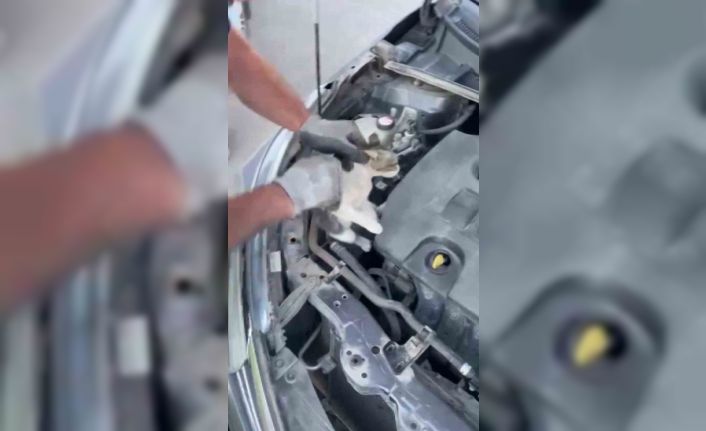 Aracın motor kısmında mahsur kaldı, itfaiye kurtardı