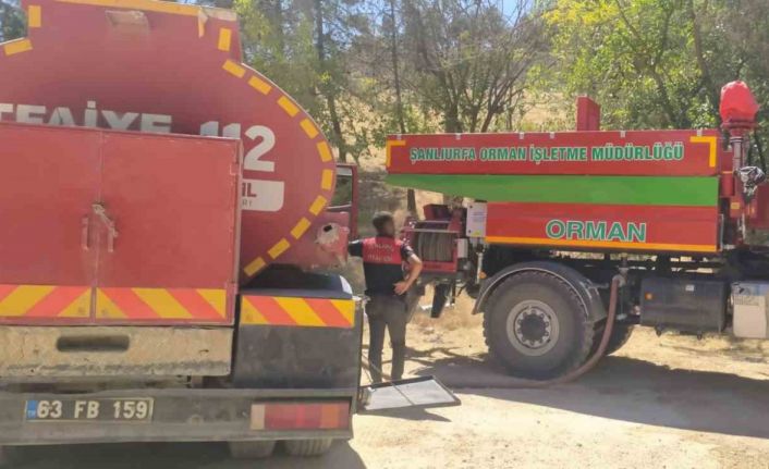 Atatürk Barajı ormanında korkutan yangın