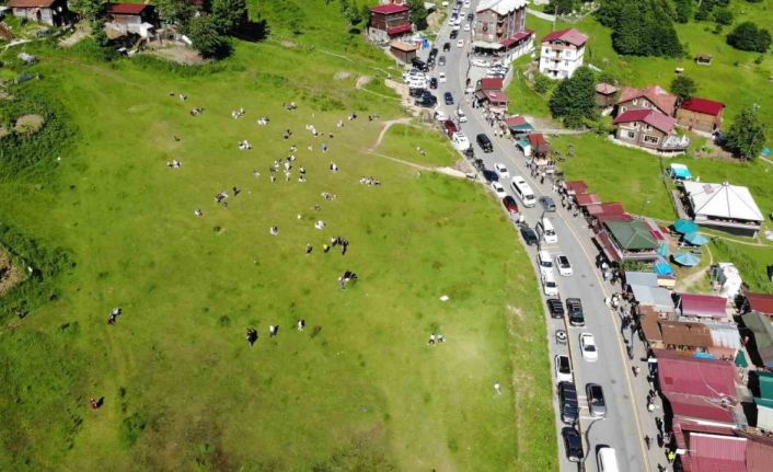 Ayder Yaylası’nı Kurban Bayramı tatili boyunca 100 bine yakın turist ziyaret etti