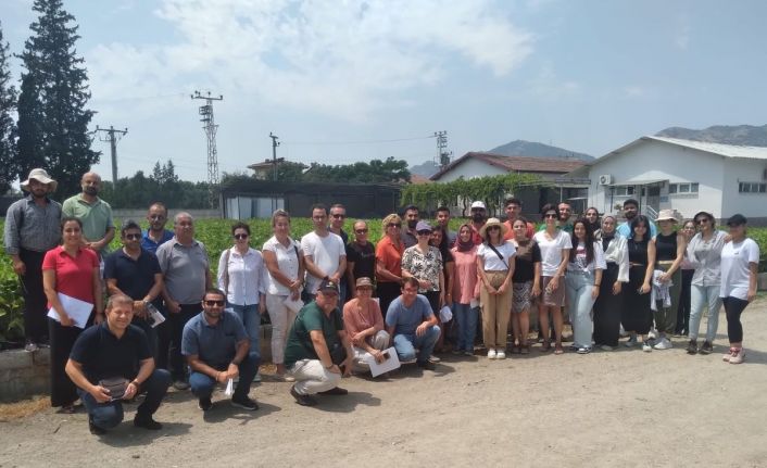 Aydın inciri Muğla’da da yetişecek