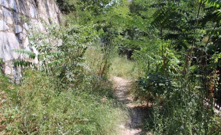 Bakımsız kalan Pınarbaşı alt yolu harabeye döndü
