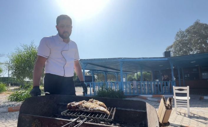 Balıkçıların korkulu rüyası Türk mutfağına yeni bir lezzet olarak ekleniyor