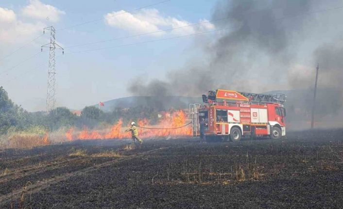 Balıkesir’de 75 dönüm buğday tarlası yandı