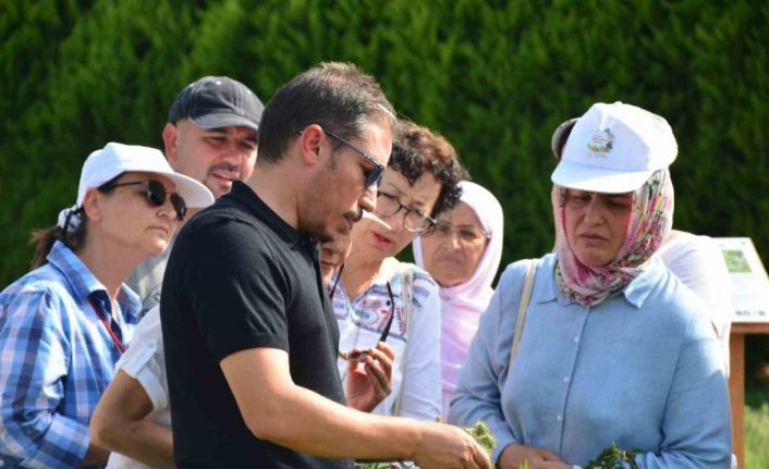 Balıkesir’de bahçıvanlık kursuna kadınlardan yoğun ilgi