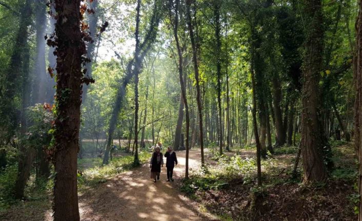 Başiskele’nin yeşil alanları "nefes" oldu