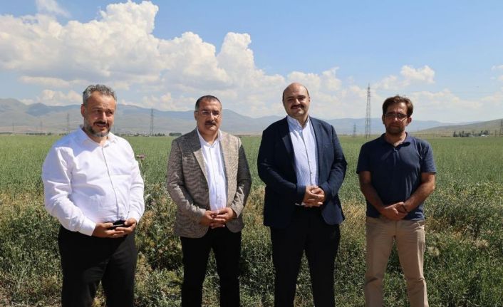 Başkan Orhan; “Şimdi hasat zamanı”