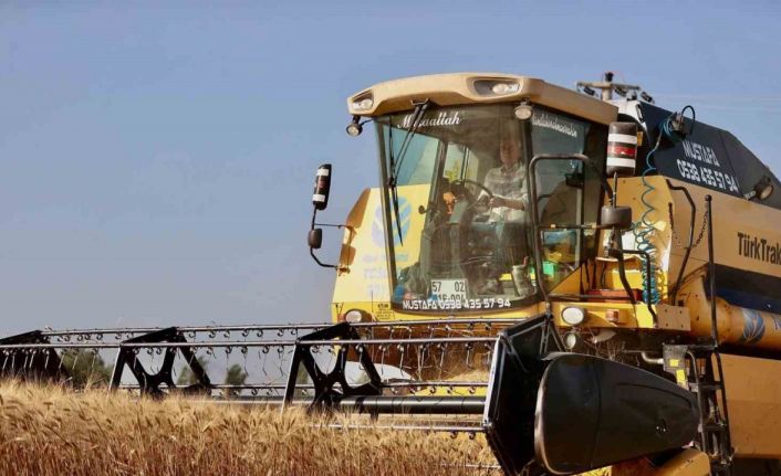 Başkan Zolan, biçerdöverle buğday hasadı  başladı