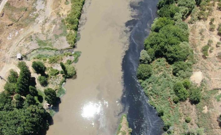 Basra Körfezi’ne kadar giden Dicle Nehri’nde korkutan görüntü