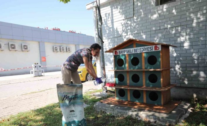 Bayraklı’da can dostlar için bir kap su kampanyası