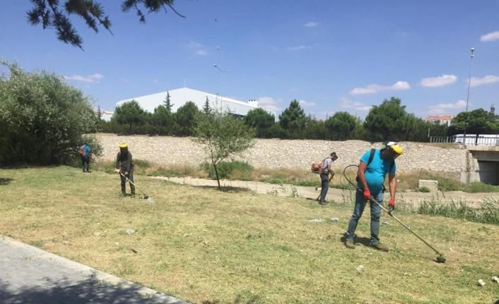 Belediye ekipleri ilçedeki yabani otları temizliyor