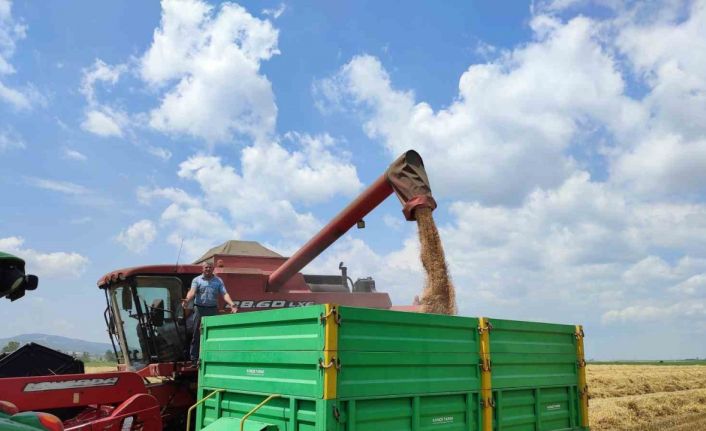 Buğday verimi Keşan çiftçisinin yüzünü güldürdü