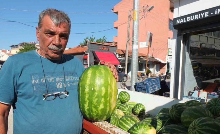 Burhaniye’de emekli eğitimci, çiftçi oldu