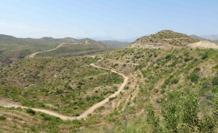 Büyük yangın sonrası Manavgat’ta dikilen 3,5 milyon fidan yeşerdi