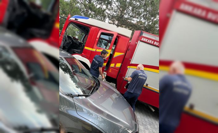 Cami kubbesine sıkışan leyleği itfaiye ekipleri kurtardı