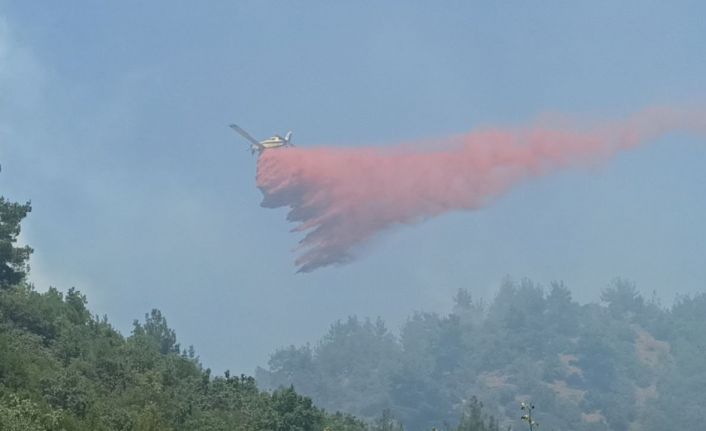 Çanakkale’de 3 gündür devam eden orman yangınına müdahale sürüyor