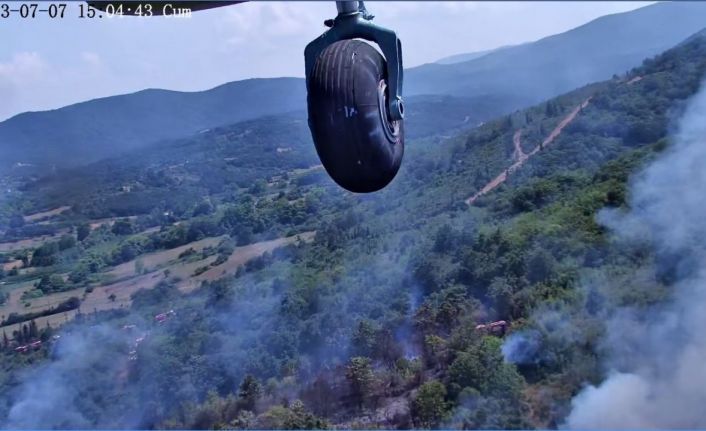 Çanakkale’de orman yangını