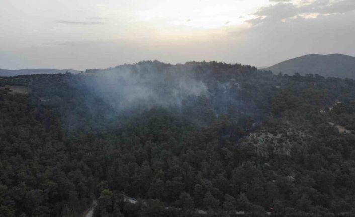 Çanakkale’deki orman yangınına günün ilk ışıklarıyla hava müdahalesi başladı