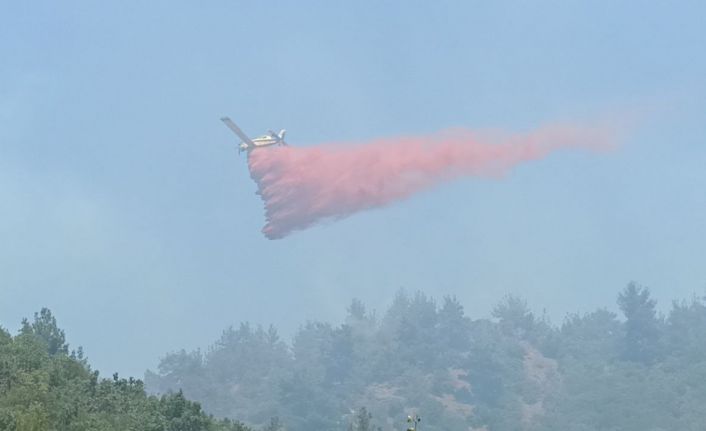 Çanakkale’deki orman yangınlarında hava araçları bin 800 sorti yaptı, 4 bin 900 ton su attı