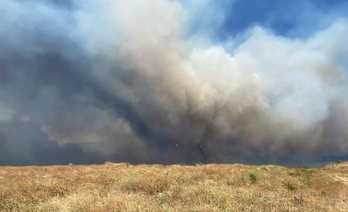 Çanakkale’deki yangında rüzgarın etkisiyle alevler büyümeye başladı