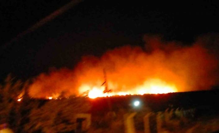 Çeşme’de çamlık alanda yangın