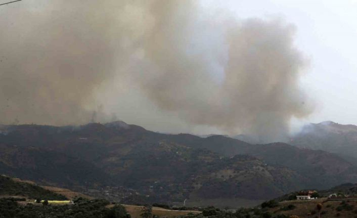 Cezayir’deki orman yangınlarında can kaybı 34’e yükseldi