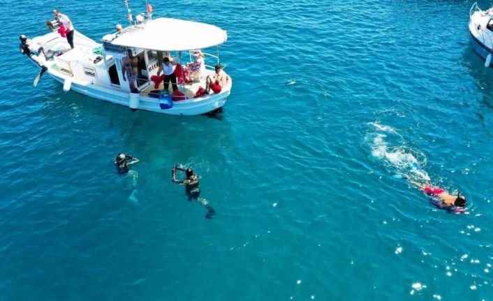 Deniz dibinden çıkanlar vatandaşları şok etti